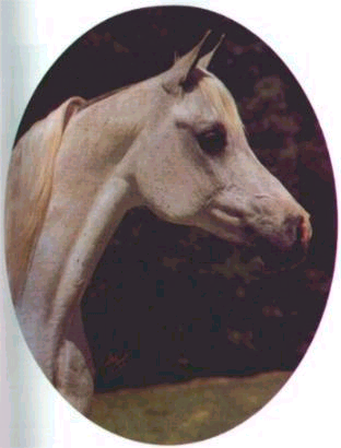 bint magidaa.bmp - 383814 Bytes